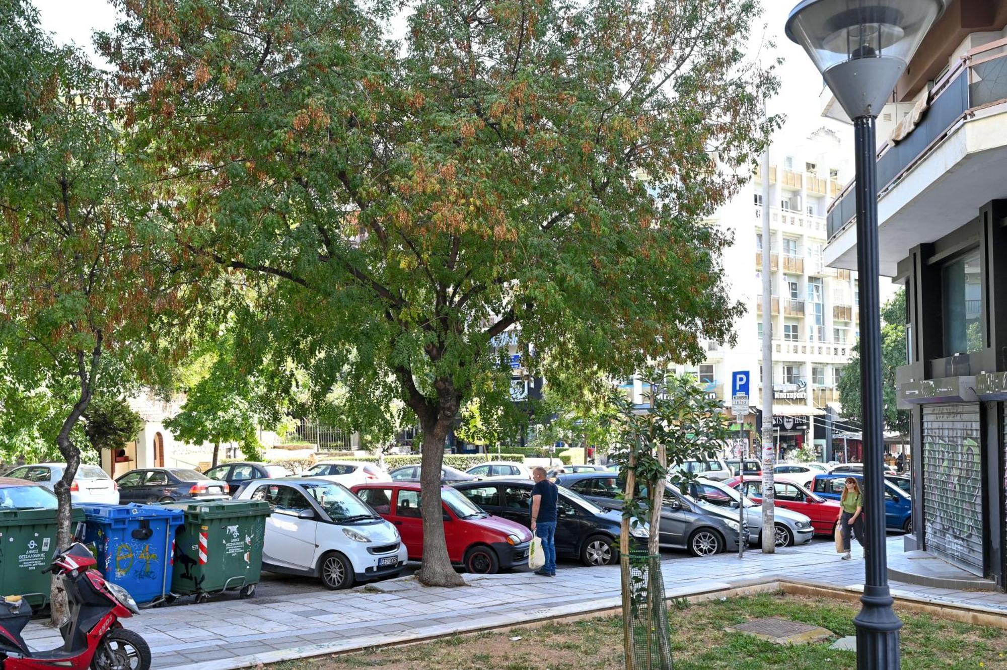 Thessaloniki Center Apartment On The Sunset المظهر الخارجي الصورة